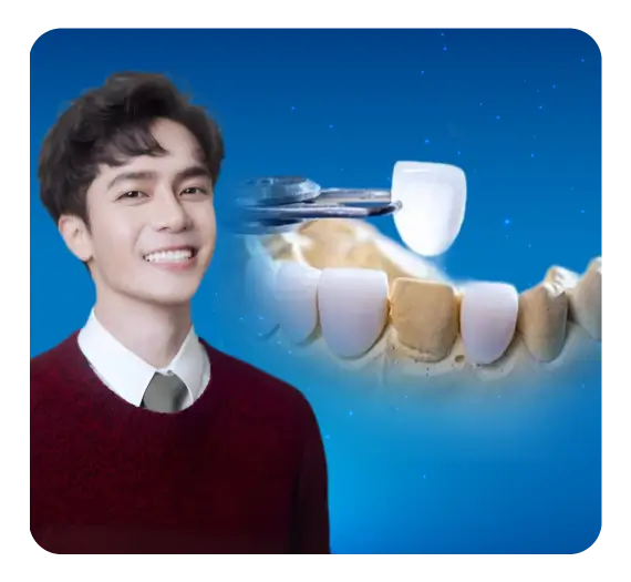 services-dan-su-lisi