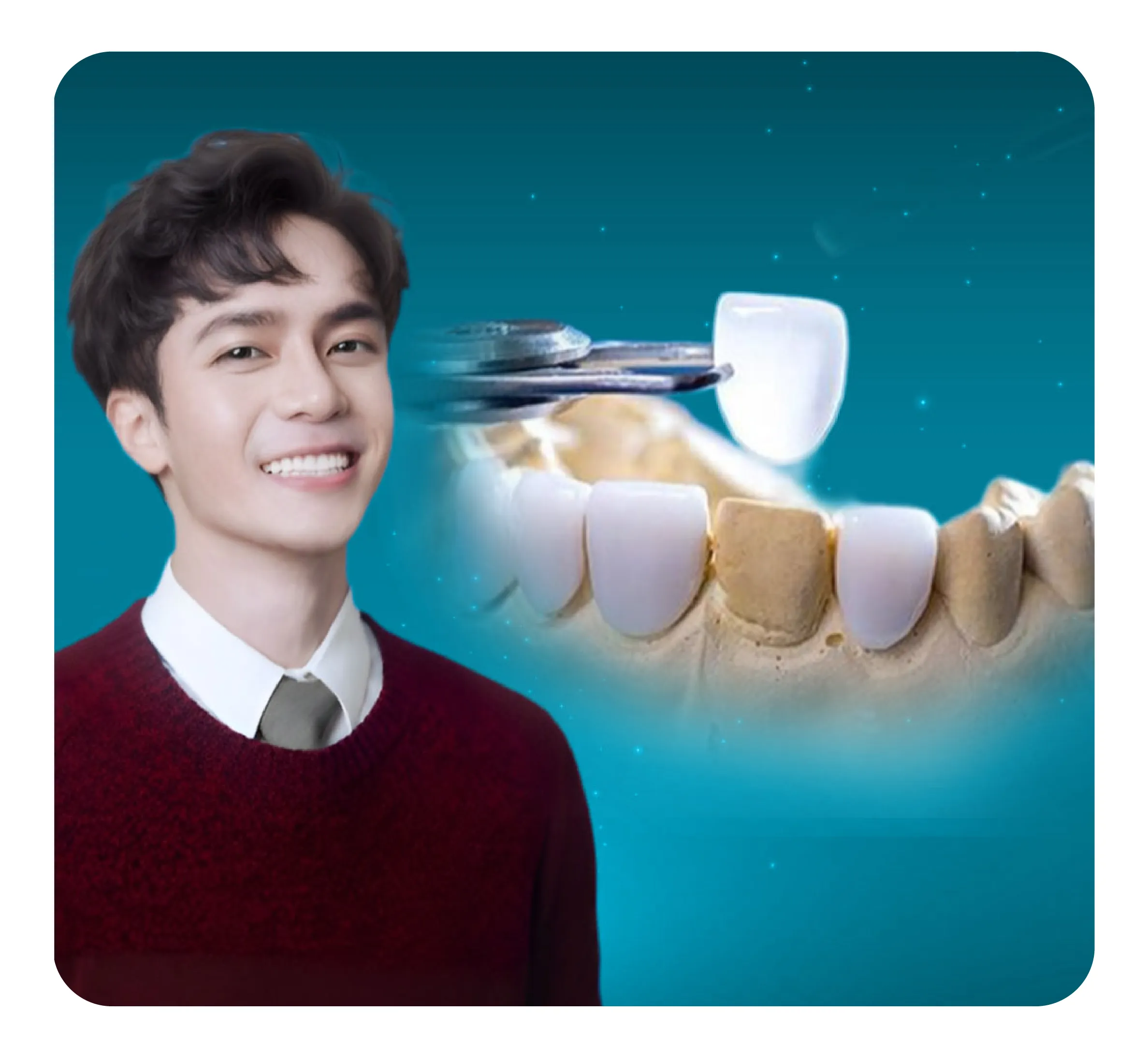 services-dan-su-lisi