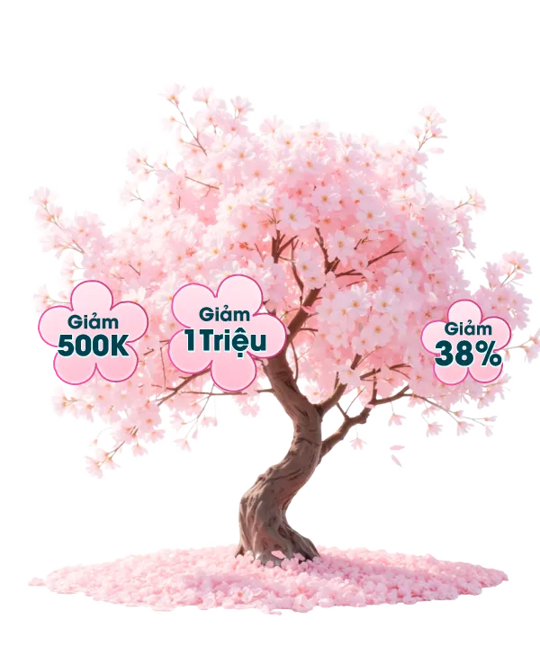 Hình ảnh popup cây 08/03