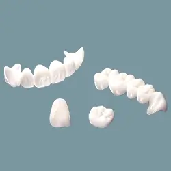 mao-toan-su-zirconia-cad-cam